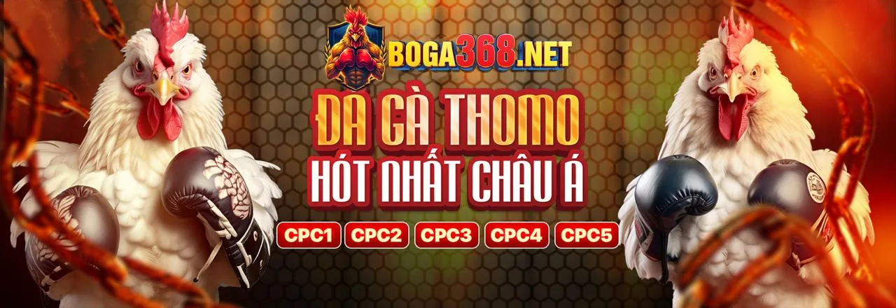 Sảnh Live Casino tại ok8363 nhà cái